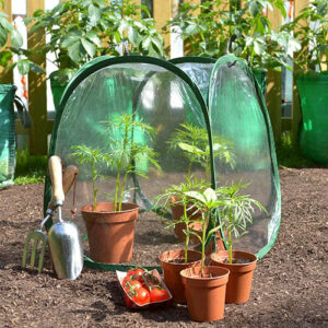 Mini Pop Up Greenhouse Cloche